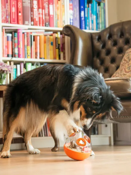 Jouet distributeur de friandises pour chien - Wobble Ball orange - Pet PLAY