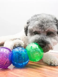 Jouet distributeur de friandises pour chien - KONG Lock-it (S)