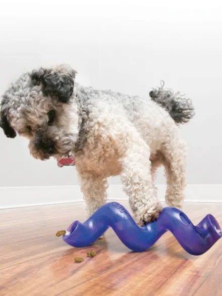 Jouet distributeur de friandises pour chien KONG Treat Spiral Stick