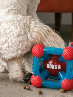 Jouet distributeur de friandises pour chien - KONG Rewards Tinker