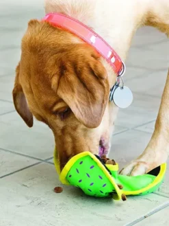 Jouet distributeur de friandises pour chien - KONG Ballistic Hide 'n Treat (M)