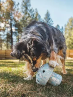Jouet distributeur de friandises pour chien - Porcini (3 coloris)