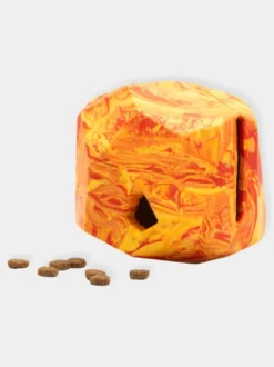 Jouet distributeur de friandises pour chien - Gnawt a Rock - Salamander Orange