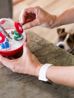 Jouet distributeur de friandises pour chien - Wobble Ball rouge - Pet PLAY
