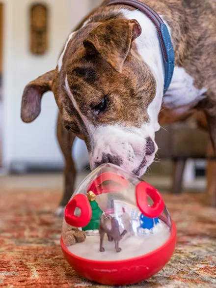 Jouet distributeur de friandises pour chien - Wobble Ball rouge - Pet PLAY