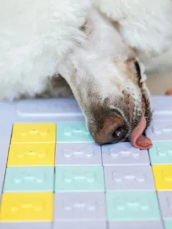 Jouet d'occupation et de réflexion pour chien - Panel slider 🧩 - ZippyPaws