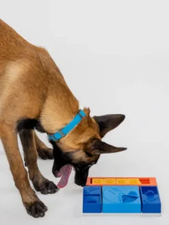 Jouet d’occupation pour chien – Kit Débutant (4 modules + 1 module de léchage) - Pawzler