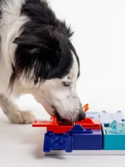 Jouet d’occupation pour chien – Kit Avancé Genius (7 modules) - Pawzler