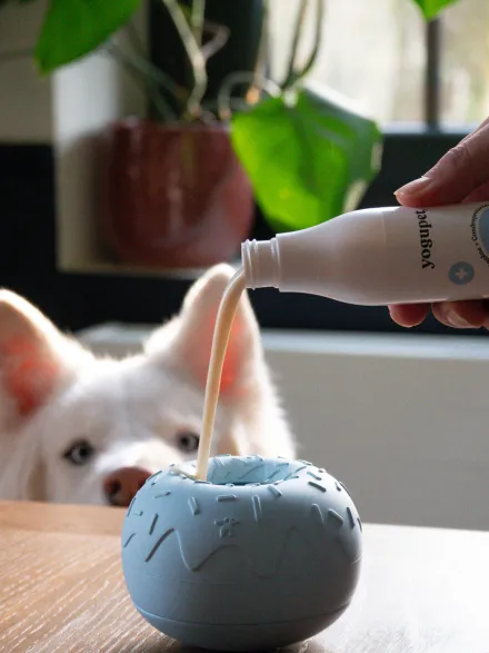 Jouet d'occupation pour chien - Yoomy Donut 🍩 - Lavande