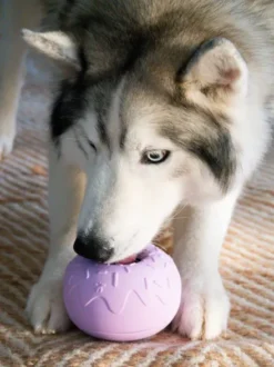 Jouet d'occupation pour chien - Yoomy Donut 🍩 - Lavande