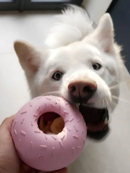 Jouet d'occupation pour chien - Yoomy Donut 🍩 - Rose
