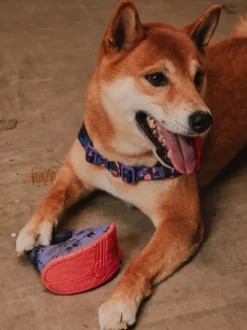 Jouet d'occupation pour chien - Rocking Tug - Reebok x Zee.dog