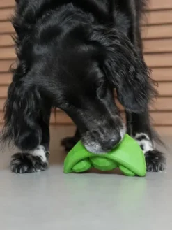 Jouet d'occupation pour chien - Super Veggiez Petits pois🫛 - Zee.dog