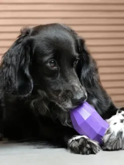 Jouet d'occupation pour chien - Super Veggiez Aubergine 🍆 - Zee.dog