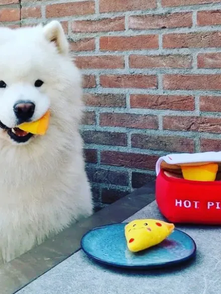 Jouet d'occupation pour chien original - Boîte à Pizza 🍕 - ZippyPaws