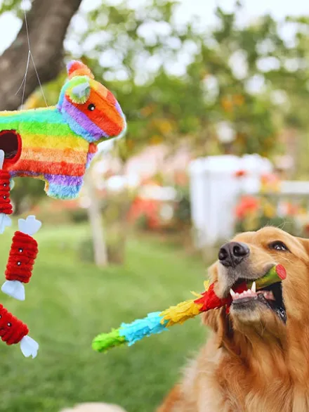 Jouet d'occupation pour chien original - Pinata 🪅 - ZippyPaws