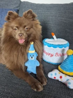 Jouet d'occupation pour chien - Gâteau d'anniversaire
