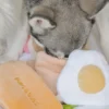 Jouet d'occupation pour chien - Pita 🥙 - Pups & Bubs