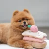 Jouet d'occupation pour chien - Mille Feuille - Pups & Bubs