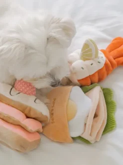 Jouet d'occupation pour chien - Mille Feuille - Pups & Bubs