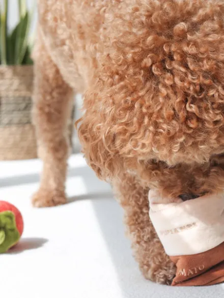 Jouet d'occupation pour chien - Sauce Tomate 🥫🍅 - Pups & Bubs