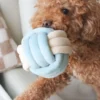Jouet d'occupation pour chien - Snuffle Knot 🧶 - Pups & Bubs