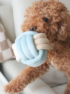 Jouet d'occupation pour chien - Snuffle Knot 🧶 - Pups & Bubs