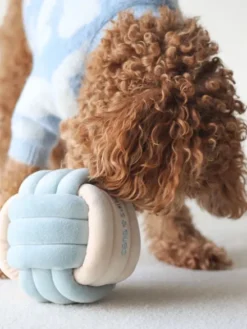 Jouet d'occupation pour chien - Snuffle Knot 🧶 - Pups & Bubs
