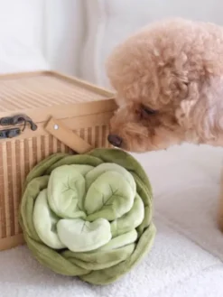 Jouet d'occupation pour chien - Chou 🥬 - Pups & Bubs