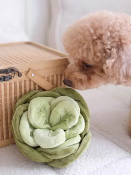 Jouet d'occupation pour chien - Chou 🥬 - Pups & Bubs