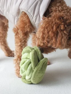 Jouet d'occupation pour chien - Chou 🥬 - Pups & Bubs