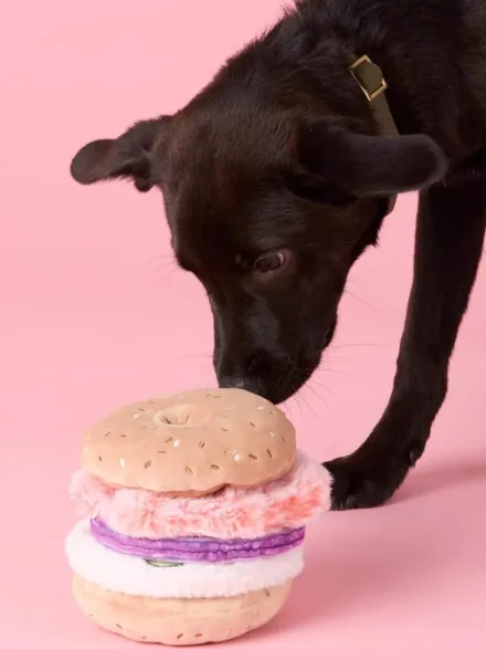 Jouet d'occupation pour chien - Bagel 🥯 - The Foggy Dog
