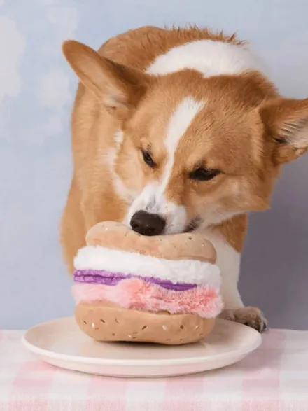 Jouet d'occupation pour chien - Bagel 🥯 - The Foggy Dog
