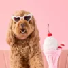 Jouet d'occupation pour chien - Milkshake 🍧 - The Foggy Dog