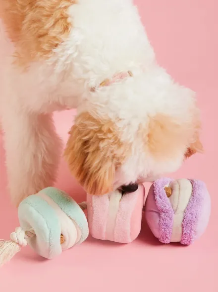 Jouet d'occupation pour chien - Macarons ❤️ - The Foggy Dog