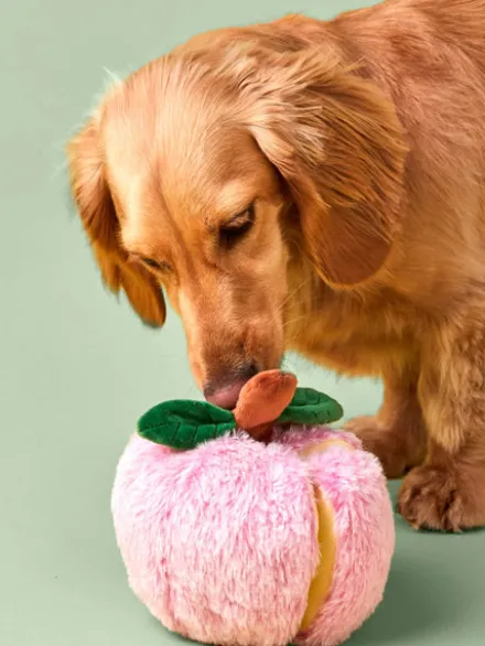 Jouet d'occupation pour chien - Pomme 🍎 - The Foggy Dog