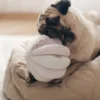 Jouet d'occupation pour chien - Toto - Rose