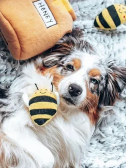 Jouet d'occupation pour chien original - Pot de miel 🍯🐝 - ZippyPaws