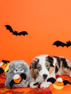 Jouet d'occupation pour chien original - Tombe Halloween 🪦🍬 - ZippyPaws