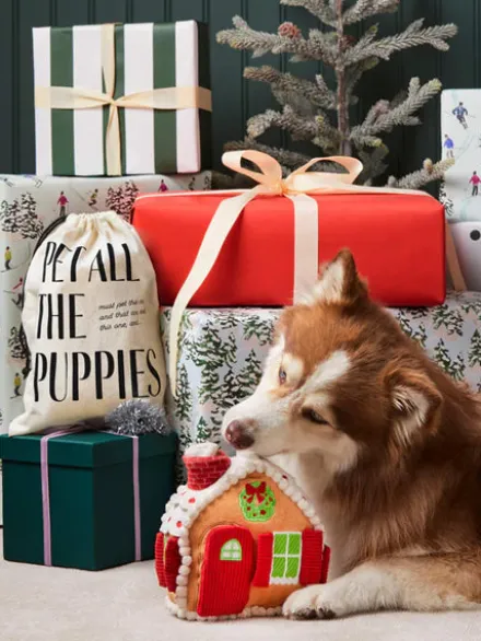 Jouet d'occupation pour chien - Maison pain épices 🎄 - The Foggy Dog