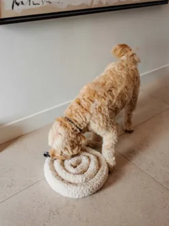 Jouet d'occupation pour chien - SWIRL Snuffle Mat Taupe - District 70