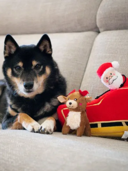 Jouet d'occupation pour chien - Traineau du Père Noël - ZippyPaws