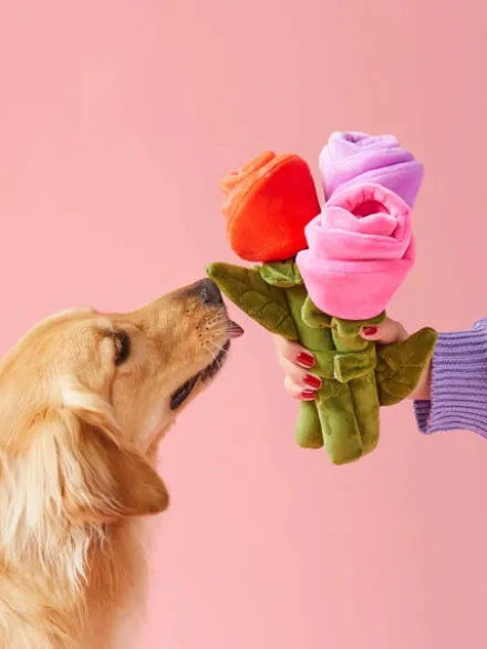 Jouet d'occupation pour chien - Bouquet de fleurs XL 💐 - The Foggy Dog