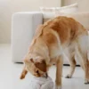 Jouet d'occupation pour chien - BOBBY Snuffle ball Rose - District 70