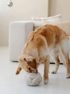Jouet d'occupation pour chien - BOBBY Snuffle ball Taupe - District 70