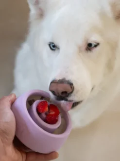 Jouet d'occupation pour chien - Yoomy Wobble 🫨 Lavender - inooko