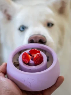 Jouet d'occupation pour chien - Yoomy Wobble 🫨 Lavender - inooko