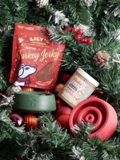 Jouet d'occupation pour chien - Yoomy Wobble 🫨 - Edition limitée de Noël Vert Sapin