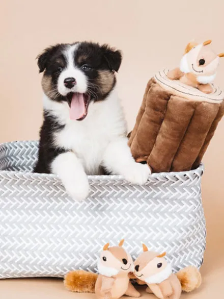 Jouet d'occupation pour chien original - Bûche Ecureuils 🐿️ - ZippyPaws