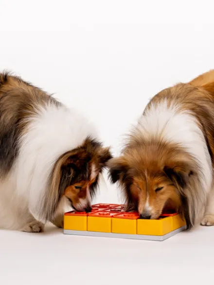 Jouet d’occupation pour chien – Treat Maze (Niveau 3) - Pawzler